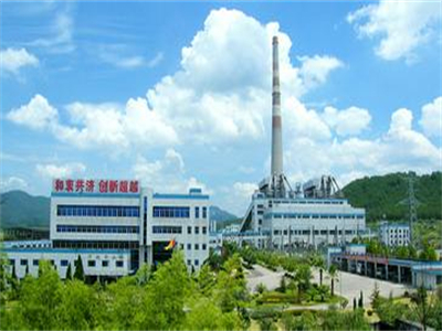 福建華(huá)電邵武發電(dian)廠
