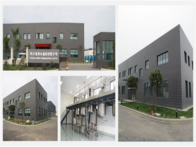 四川(chuan)德博爾(ěr)制藥有(you)限公司(sī)