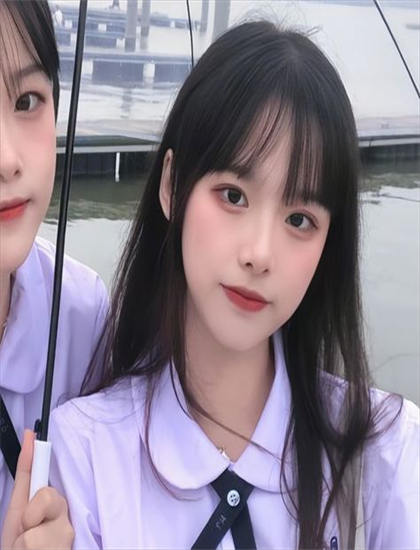 探秘《女友成堆 第二季》的市场表现与观众反馈